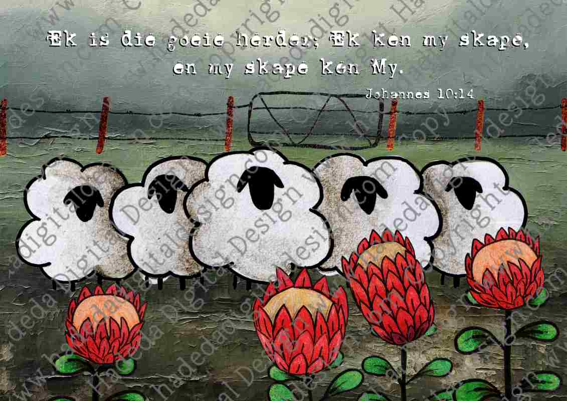 Artsy Sheep and Proteas A0 Landscape Afrikaans - Sublimation, Digital and DTF Printing
