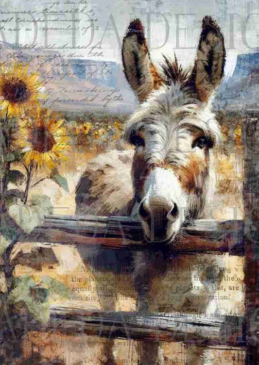 Sunflower Donkeys Portrait Design - Sublimation, Digital and DTF Printing