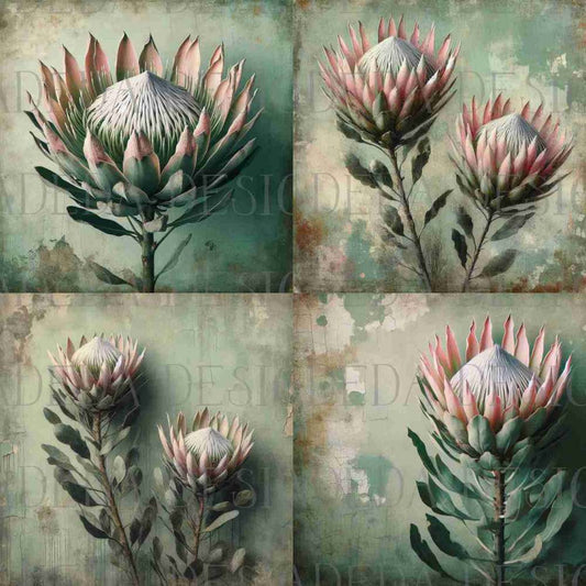 Grungy Proteas - Sublimation, Digital and DTF Printing